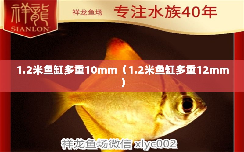 1.2米魚缸多重10mm（1.2米魚缸多重12mm）