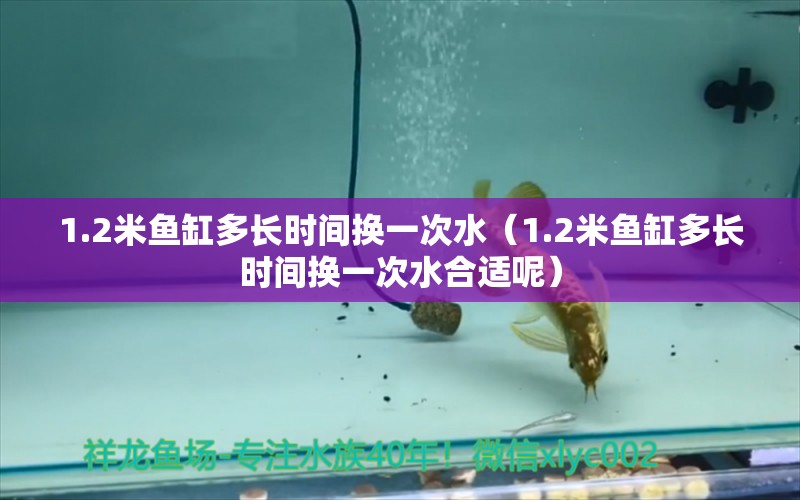 1.2米魚(yú)缸多長(zhǎng)時(shí)間換一次水（1.2米魚(yú)缸多長(zhǎng)時(shí)間換一次水合適呢）