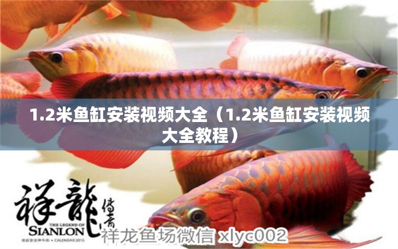 1.2米魚缸安裝視頻大全（1.2米魚缸安裝視頻大全教程）