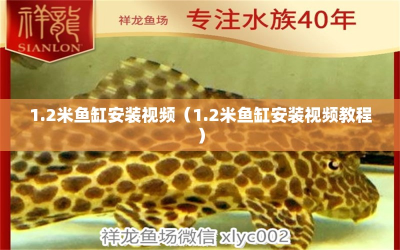 1.2米魚缸安裝視頻（1.2米魚缸安裝視頻教程） 魚缸百科