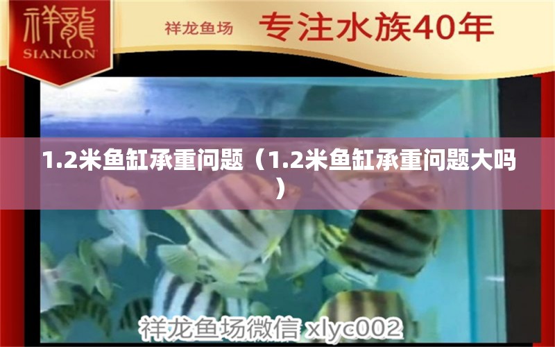 1.2米魚缸承重問題（1.2米魚缸承重問題大嗎） 其他品牌魚缸