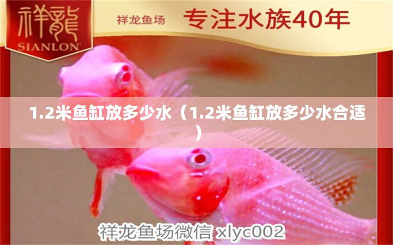 1.2米魚缸放多少水（1.2米魚缸放多少水合適）