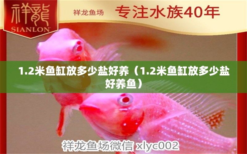 1.2米魚缸放多少鹽好養(yǎng)（1.2米魚缸放多少鹽好養(yǎng)魚）