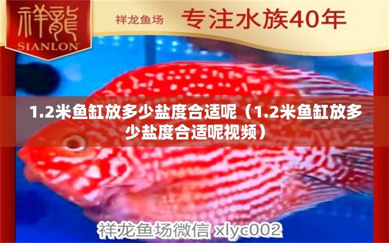 1.2米魚缸放多少鹽度合適呢（1.2米魚缸放多少鹽度合適呢視頻）