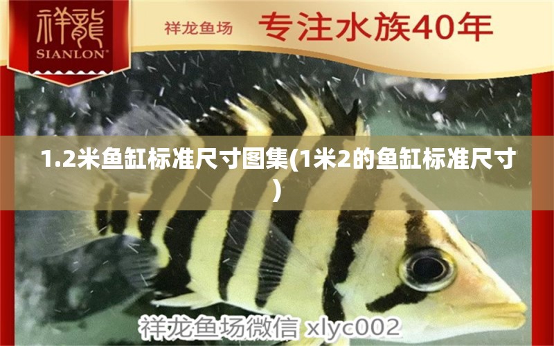 1.2米魚缸標(biāo)準(zhǔn)尺寸圖集(1米2的魚缸標(biāo)準(zhǔn)尺寸)