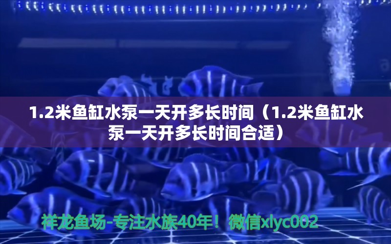 1.2米魚缸水泵一天開多長時(shí)間（1.2米魚缸水泵一天開多長時(shí)間合適） 魚缸水泵