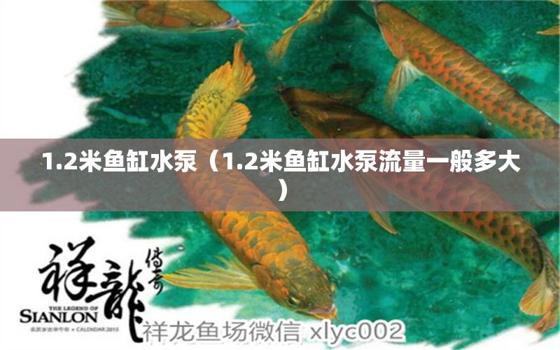 1.2米魚缸水泵（1.2米魚缸水泵流量一般多大） 魚缸水泵