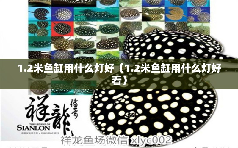 1.2米魚缸用什么燈好（1.2米魚缸用什么燈好看）