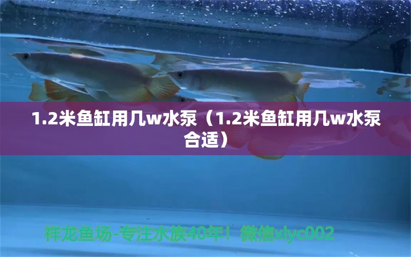 1.2米魚缸用幾w水泵（1.2米魚缸用幾w水泵合適）