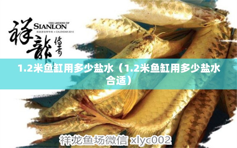 1.2米魚缸用多少鹽水（1.2米魚缸用多少鹽水合適） 其他品牌魚缸