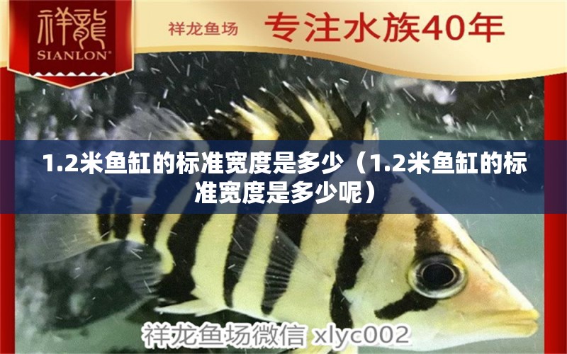 1.2米魚(yú)缸的標(biāo)準(zhǔn)寬度是多少（1.2米魚(yú)缸的標(biāo)準(zhǔn)寬度是多少呢）