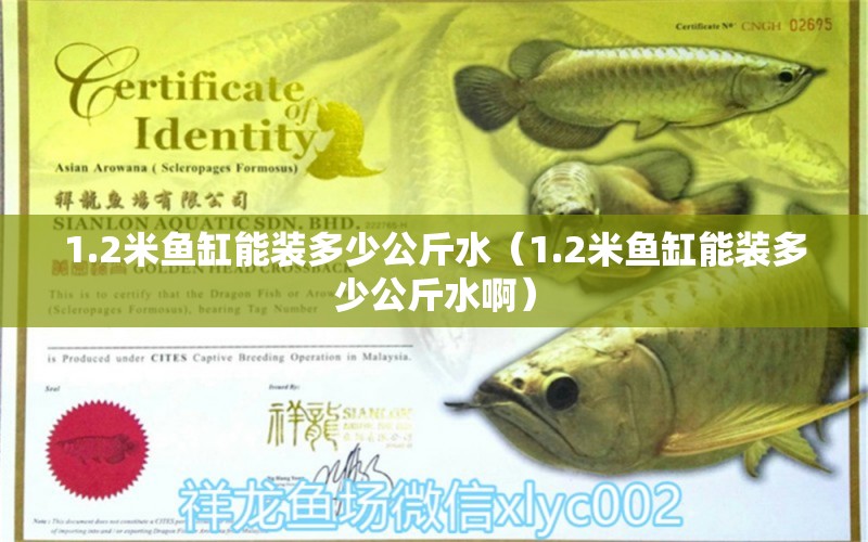 1.2米魚(yú)缸能裝多少公斤水（1.2米魚(yú)缸能裝多少公斤水?。?其他品牌魚(yú)缸