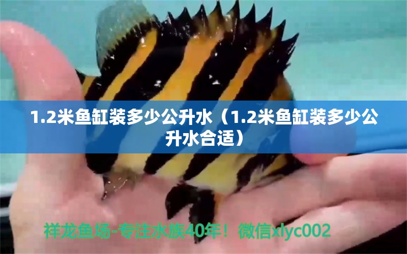 1.2米魚缸裝多少公升水（1.2米魚缸裝多少公升水合適）