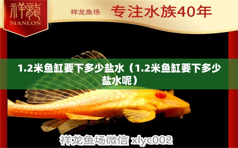 1.2米魚缸要下多少鹽水（1.2米魚缸要下多少鹽水呢）