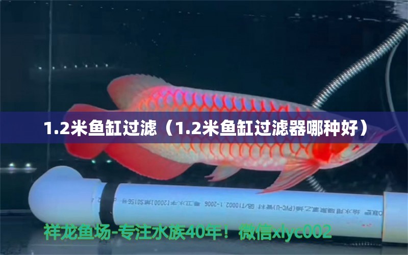 1.2米魚缸過濾（1.2米魚缸過濾器哪種好）