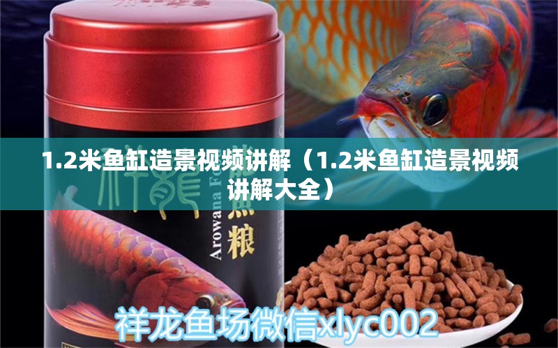 1.2米魚缸造景視頻講解（1.2米魚缸造景視頻講解大全） 其他品牌魚缸