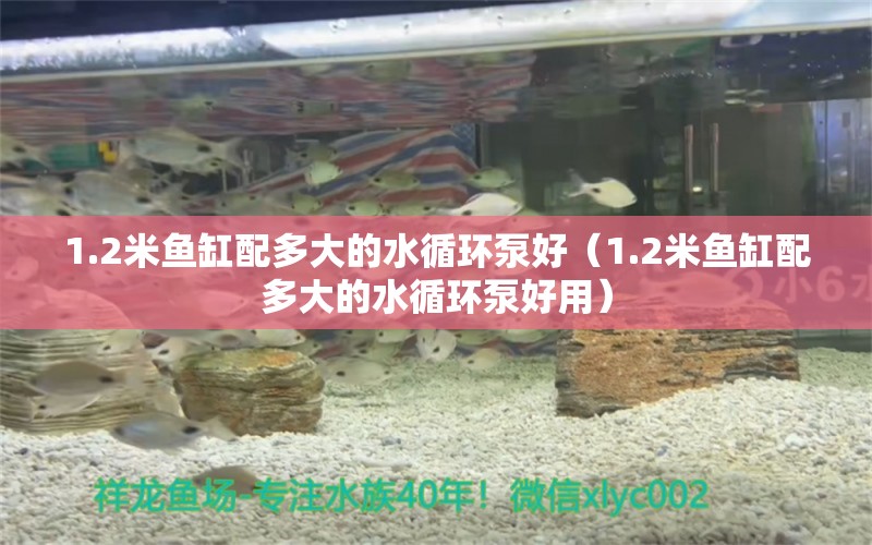 1.2米魚缸配多大的水循環(huán)泵好（1.2米魚缸配多大的水循環(huán)泵好用）