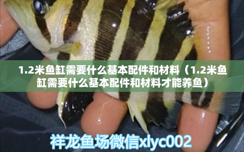 1.2米魚(yú)缸需要什么基本配件和材料（1.2米魚(yú)缸需要什么基本配件和材料才能養(yǎng)魚(yú)）