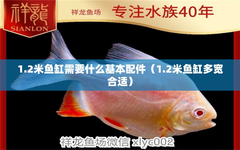 1.2米魚缸需要什么基本配件（1.2米魚缸多寬合適）