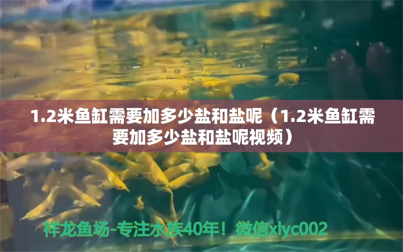 1.2米魚缸需要加多少鹽和鹽呢（1.2米魚缸需要加多少鹽和鹽呢視頻） 其他品牌魚缸