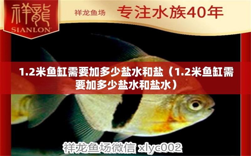 1.2米魚缸需要加多少鹽水和鹽（1.2米魚缸需要加多少鹽水和鹽水）