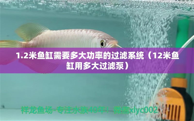 1.2米魚缸需要多大功率的過濾系統(tǒng)（12米魚缸用多大過濾泵） 量子養(yǎng)魚技術(shù)