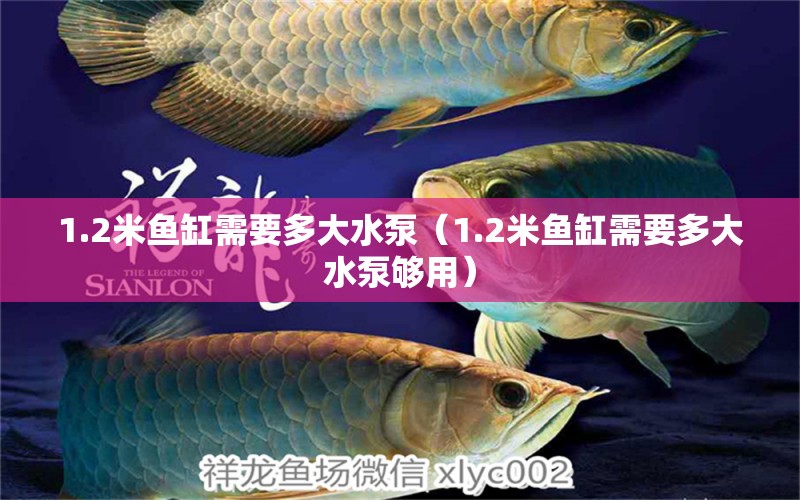 1.2米魚缸需要多大水泵（1.2米魚缸需要多大水泵夠用） 其他品牌魚缸