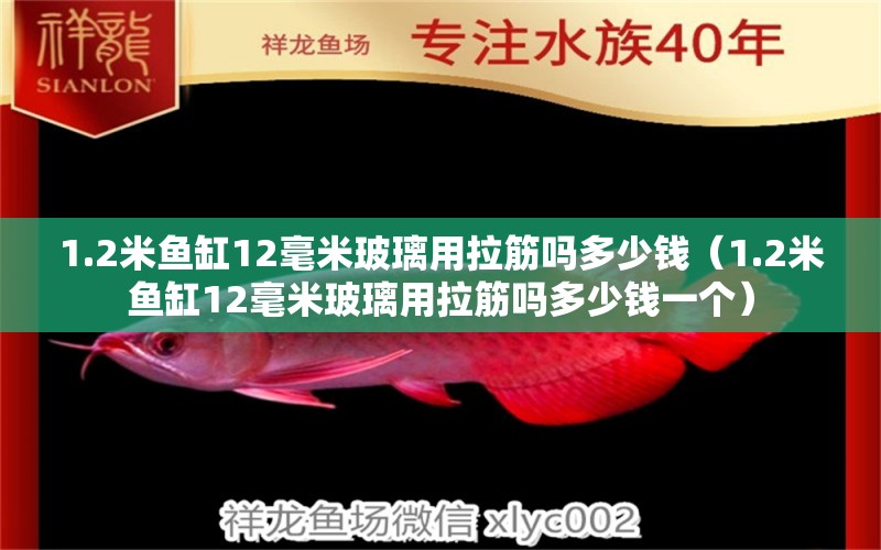 1.2米魚缸12毫米玻璃用拉筋嗎多少錢（1.2米魚缸12毫米玻璃用拉筋嗎多少錢一個(gè)）