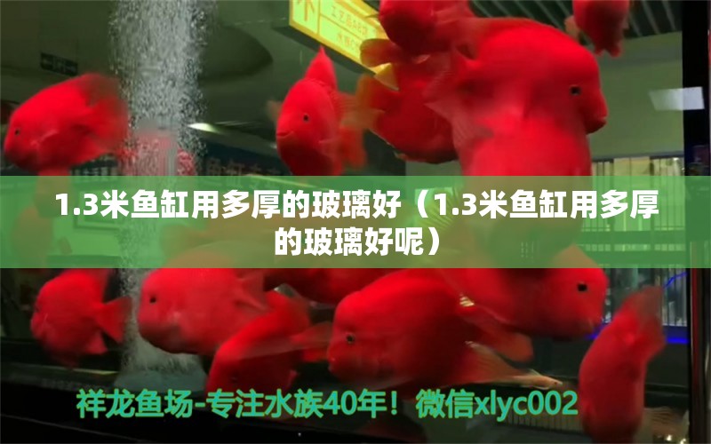 1.3米魚缸用多厚的玻璃好（1.3米魚缸用多厚的玻璃好呢） 羅漢魚批發(fā)