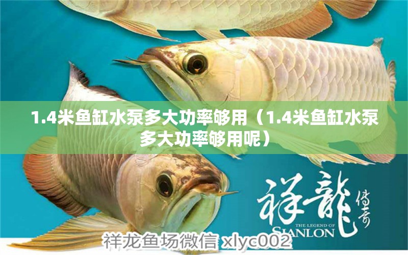 1.4米魚(yú)缸水泵多大功率夠用（1.4米魚(yú)缸水泵多大功率夠用呢）