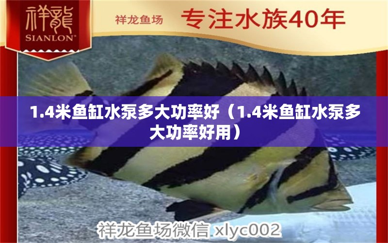 1.4米魚(yú)缸水泵多大功率好（1.4米魚(yú)缸水泵多大功率好用）