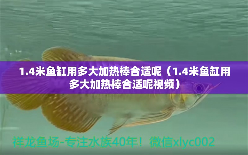 1.4米魚(yú)缸用多大加熱棒合適呢（1.4米魚(yú)缸用多大加熱棒合適呢視頻）