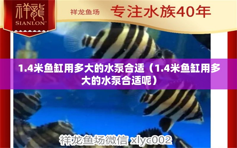 1.4米魚(yú)缸用多大的水泵合適（1.4米魚(yú)缸用多大的水泵合適呢） 其他品牌魚(yú)缸