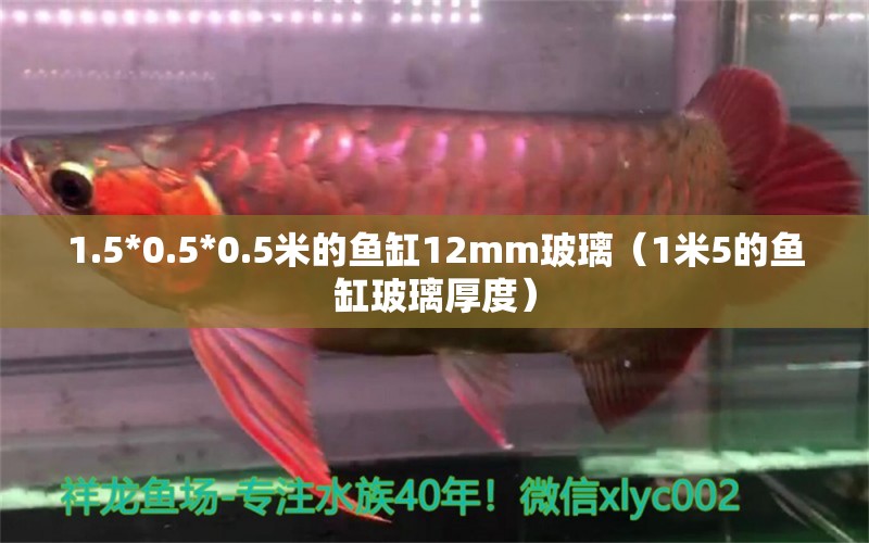 1.5*0.5*0.5米的魚缸12mm玻璃（1米5的魚缸玻璃厚度） 白子紅龍魚