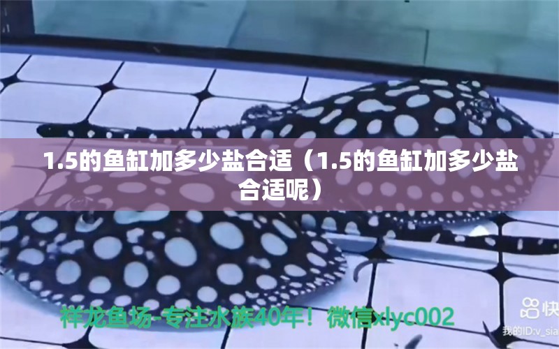 1.5的魚(yú)缸加多少鹽合適（1.5的魚(yú)缸加多少鹽合適呢） 其他品牌魚(yú)缸