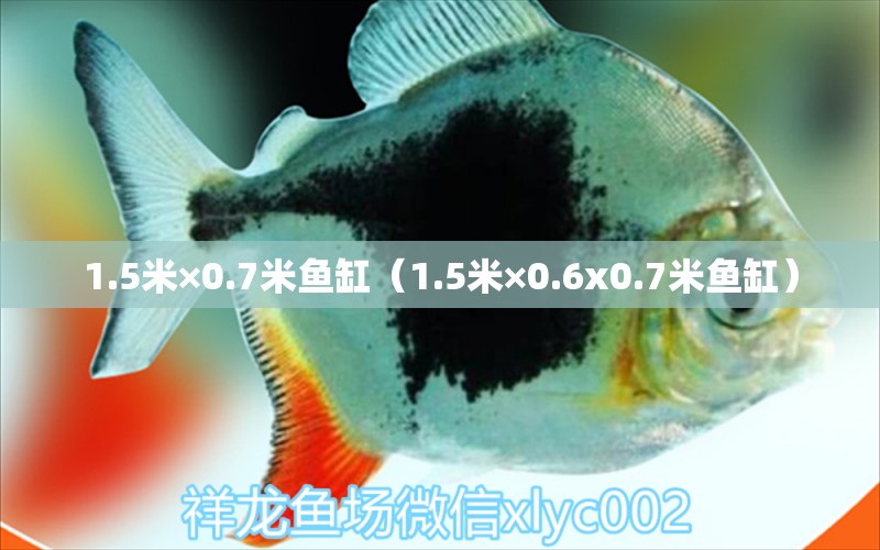 1.5米×0.7米魚缸（1.5米×0.6x0.7米魚缸） 魚缸百科