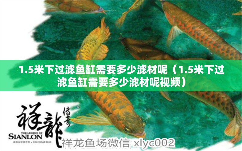 1.5米下過濾魚缸需要多少濾材呢（1.5米下過濾魚缸需要多少濾材呢視頻） 魚缸百科