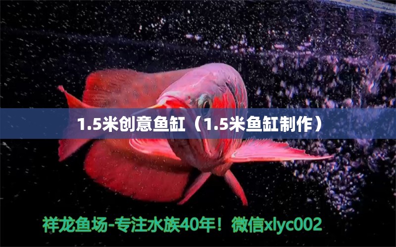 1.5米創(chuàng)意魚缸（1.5米魚缸制作）