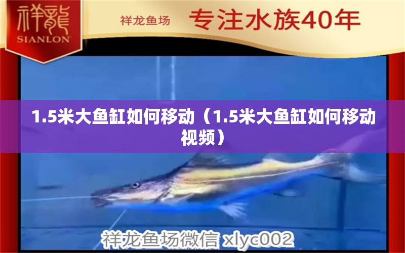 1.5米大魚缸如何移動(dòng)（1.5米大魚缸如何移動(dòng)視頻）