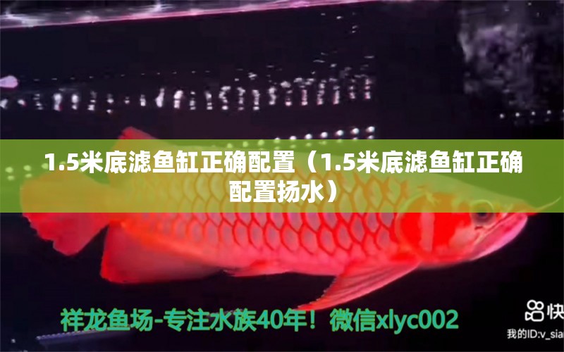 1.5米底濾魚缸正確配置（1.5米底濾魚缸正確配置揚(yáng)水）