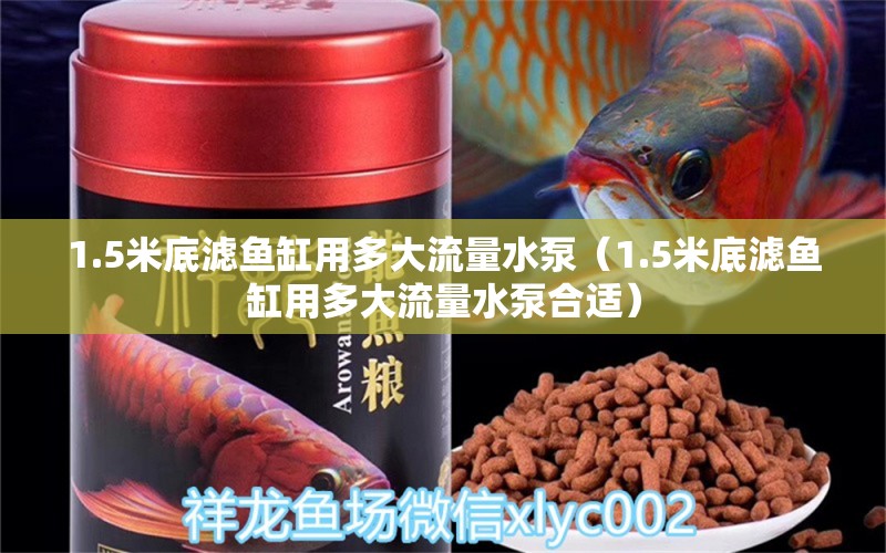 1.5米底濾魚缸用多大流量水泵（1.5米底濾魚缸用多大流量水泵合適） 魚缸百科