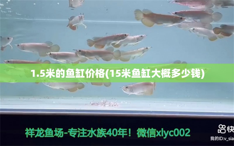 1.5米的魚(yú)缸價(jià)格(15米魚(yú)缸大概多少錢) 申古三間魚(yú)