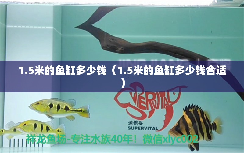 1.5米的魚缸多少錢（1.5米的魚缸多少錢合適） 其他品牌魚缸