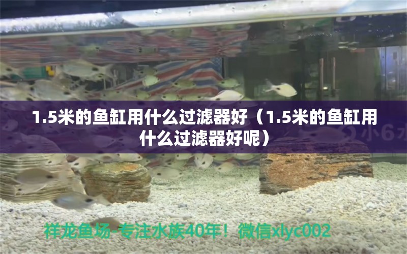 1.5米的魚缸用什么過濾器好（1.5米的魚缸用什么過濾器好呢）