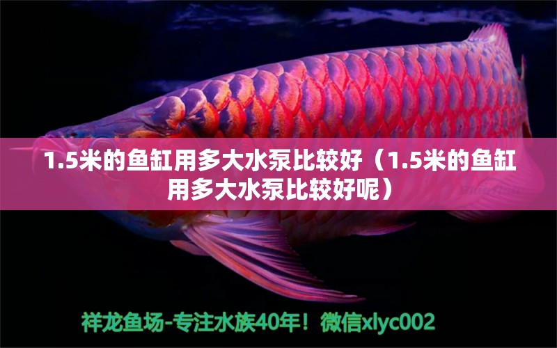 1.5米的魚缸用多大水泵比較好（1.5米的魚缸用多大水泵比較好呢）