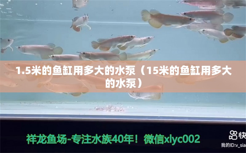 1.5米的魚缸用多大的水泵（15米的魚缸用多大的水泵）