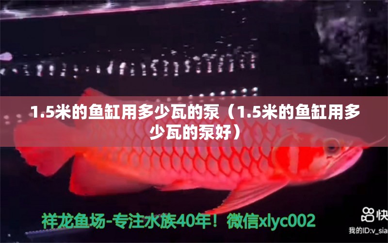 1.5米的魚缸用多少瓦的泵（1.5米的魚缸用多少瓦的泵好） 魚缸百科