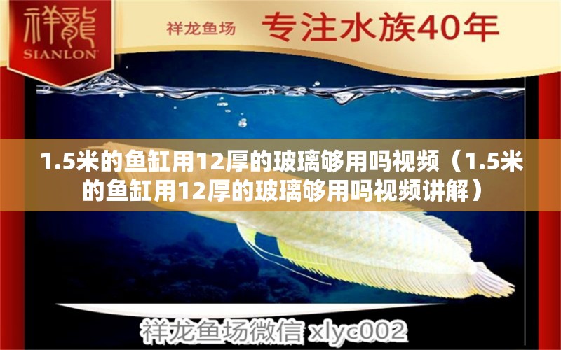 1.5米的魚缸用12厚的玻璃夠用嗎視頻（1.5米的魚缸用12厚的玻璃夠用嗎視頻講解）