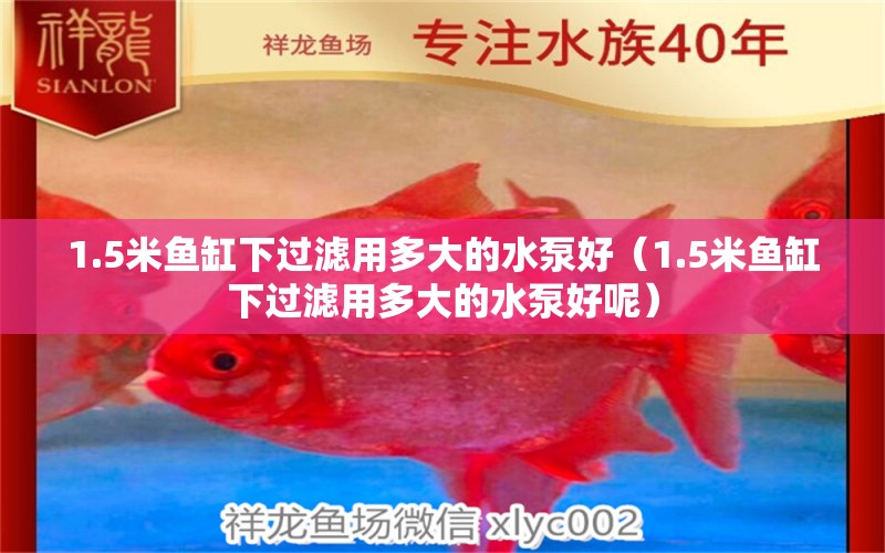 1.5米魚缸下過濾用多大的水泵好（1.5米魚缸下過濾用多大的水泵好呢）