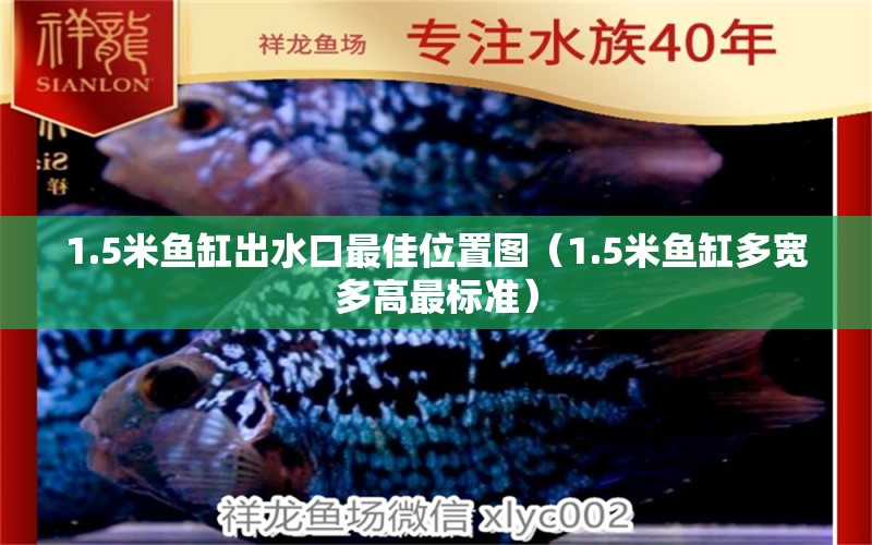 1.5米魚缸出水口最佳位置圖（1.5米魚缸多寬多高最標準）